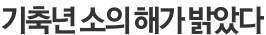 기축년 소의 해가 밝았다