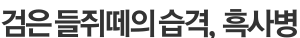 검은 들쥐떼의 습격, 흑사병