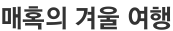 매혹의 겨울 여행
