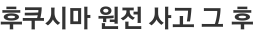 후쿠시마 원전 사고 그 후