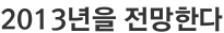 2013년을 전망한다