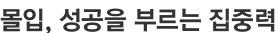 몰입, 성공을 부르는 집중력