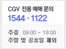 CGV ���� ���Ź���